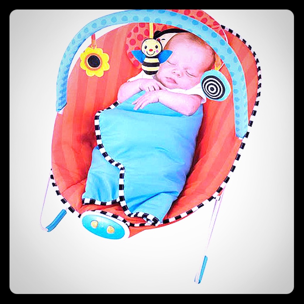 Sassy Cuddle Bug Bouncer**hold